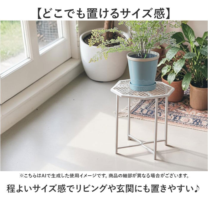 BACKYARD FAMILY「プランツスタンド アイアン 通販 オクト おしゃれ 植木鉢スタンド 鉢植え 植木鉢 ガーデニング」|その他|