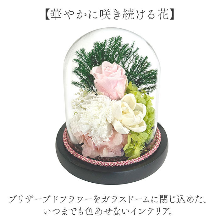 BACKYARD FAMILY「プリザーブドフラワー 仏花 ガラスドーム 通販 プリザーブド フラワー フラワーアレンジメント」|その他|