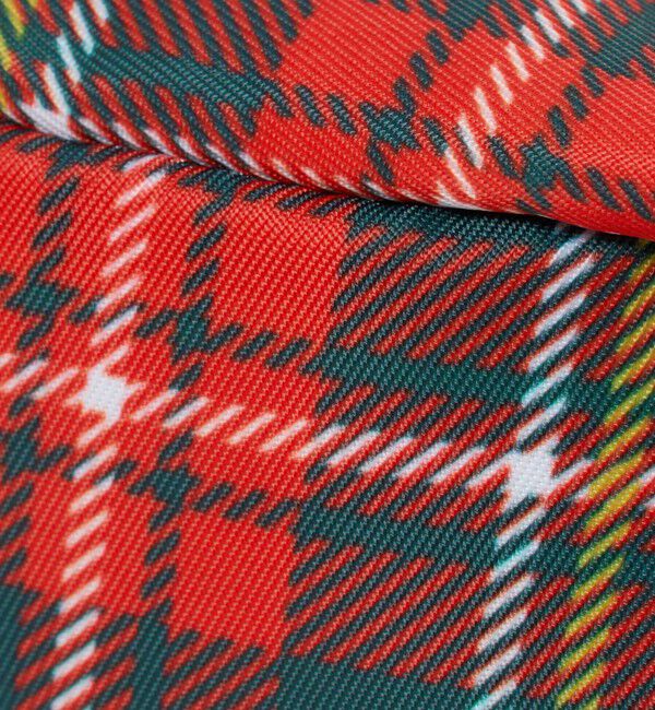 BEAUTY&YOUTH UNITED ARROWS「【別注】＜NOMADIS＞マディソン ミニポーチ/チェック」|ポーチ|