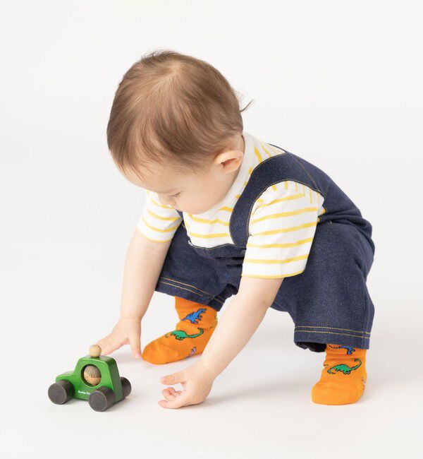SHIPS KIDS「SHIPS KIDS:ベビー ダイナソー ソックス」|ソックス|