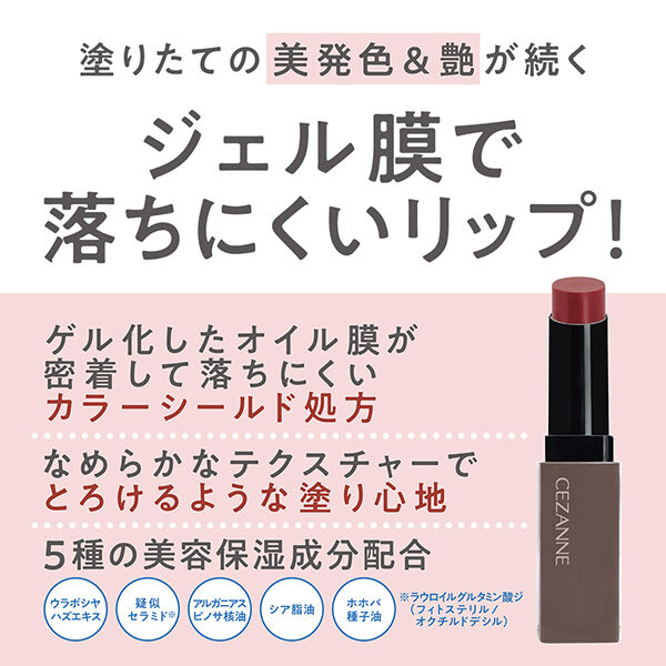 セザンヌ「セザンヌ リップカラーシールド 01 フィグブラウン (3.7g)」|リップメイク|