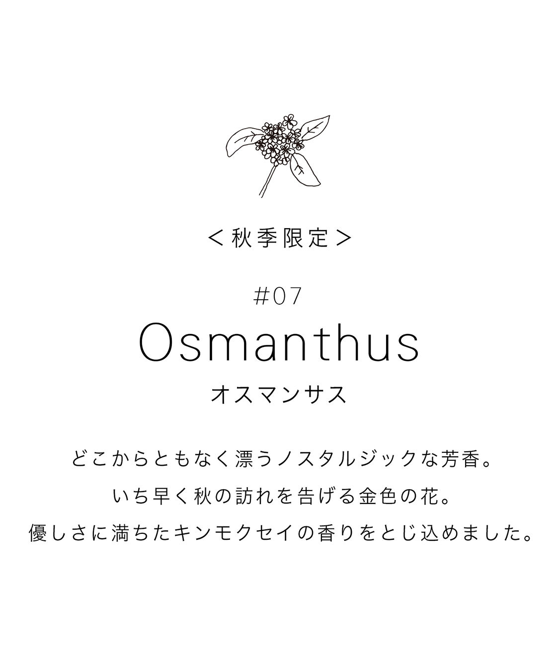AUX PARADIS「【季節限定】オゥパラディ オスマンサス オードパルファム (30ml)」|香水・フレグランス|