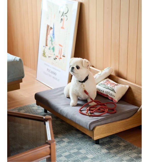 journal standard Furniture「【FOUND MY ANIMAL】ROPE LEASH 7FT　犬用 リード」|ステーショナリー|