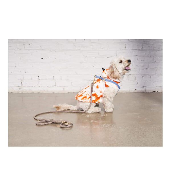 journal standard Furniture「【FOUND MY ANIMAL】ROPE LEASH 7FT　犬用 リード」|ステーショナリー|