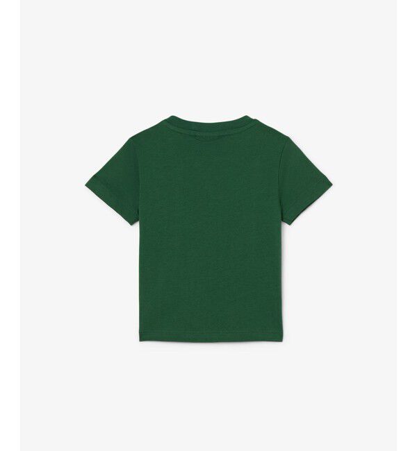 LACOSTE「【EC only】JUNIORベーシックワニロゴパッチ 半袖Tシャツ」|Tシャツ・カットソー|