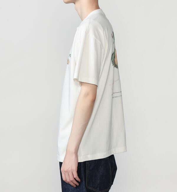  「History of Art | プリントTシャツ PEAR MEN」|Tシャツ・カットソー|