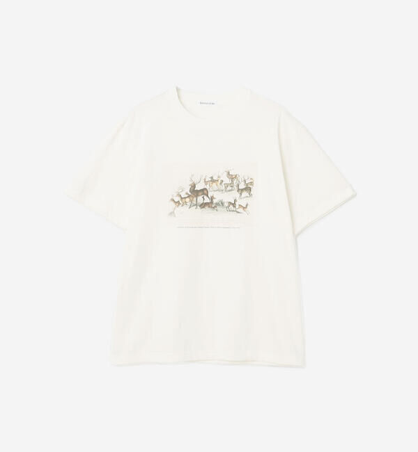 「History of Art | プリントTシャツ DEER MEN」|Tシャツ・カットソー|