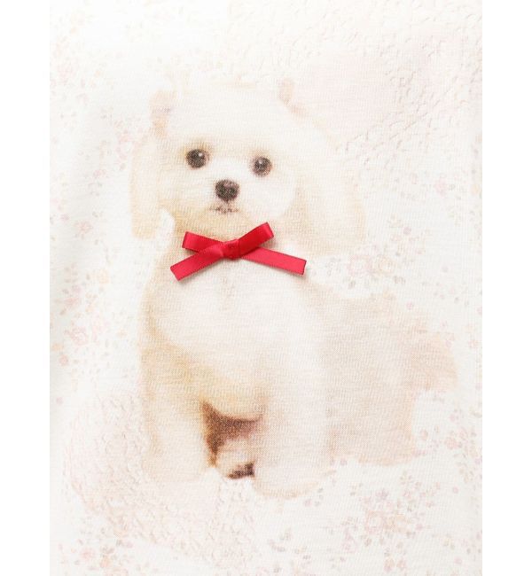 merry jenny「ribbon dog collage tee」|Tシャツ・カットソー|