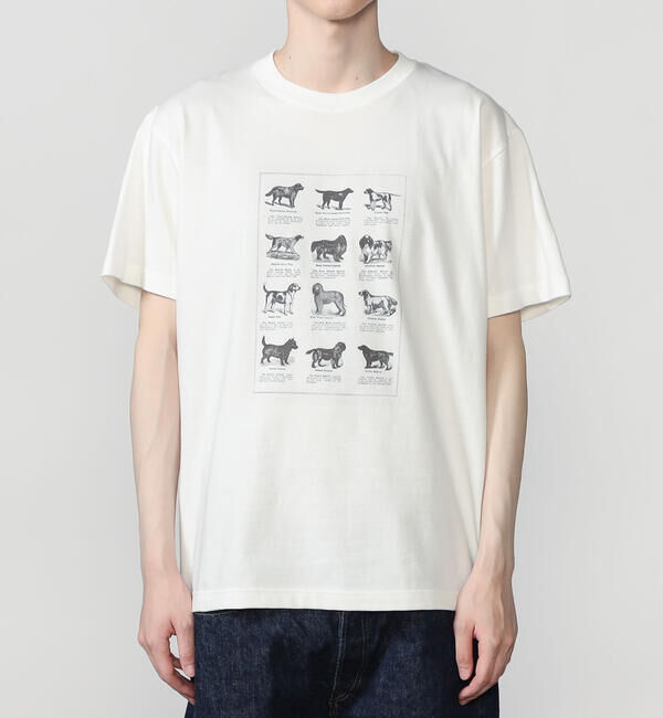  「History of Art | プリントTシャツ DOG MEN」|Tシャツ・カットソー|