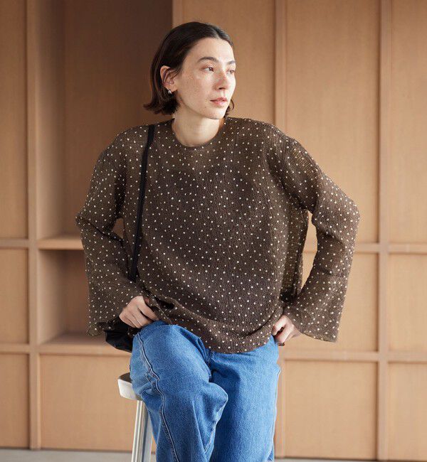BEAUTY&YOUTH UNITED ARROWS「ポリエステル ドット シアー ブラウス ウォッシャブル」|シャツ・ブラウス|DK.BROWN