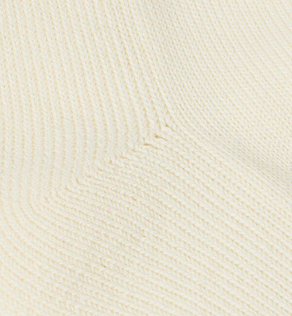 BEAUTY&YOUTH UNITED ARROWS「 2ライン パイル クルー ソックス」|ソックス|
