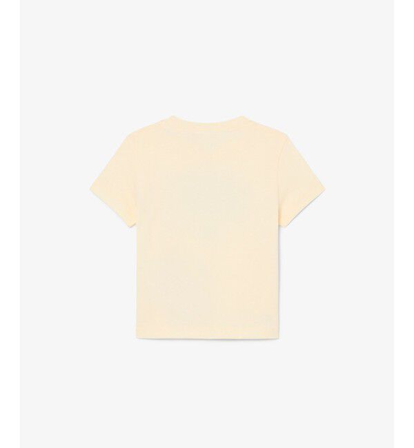 LACOSTE「【EC限定】BOYSマルチカラーブランドネームロゴTシャツ」|Tシャツ・カットソー|