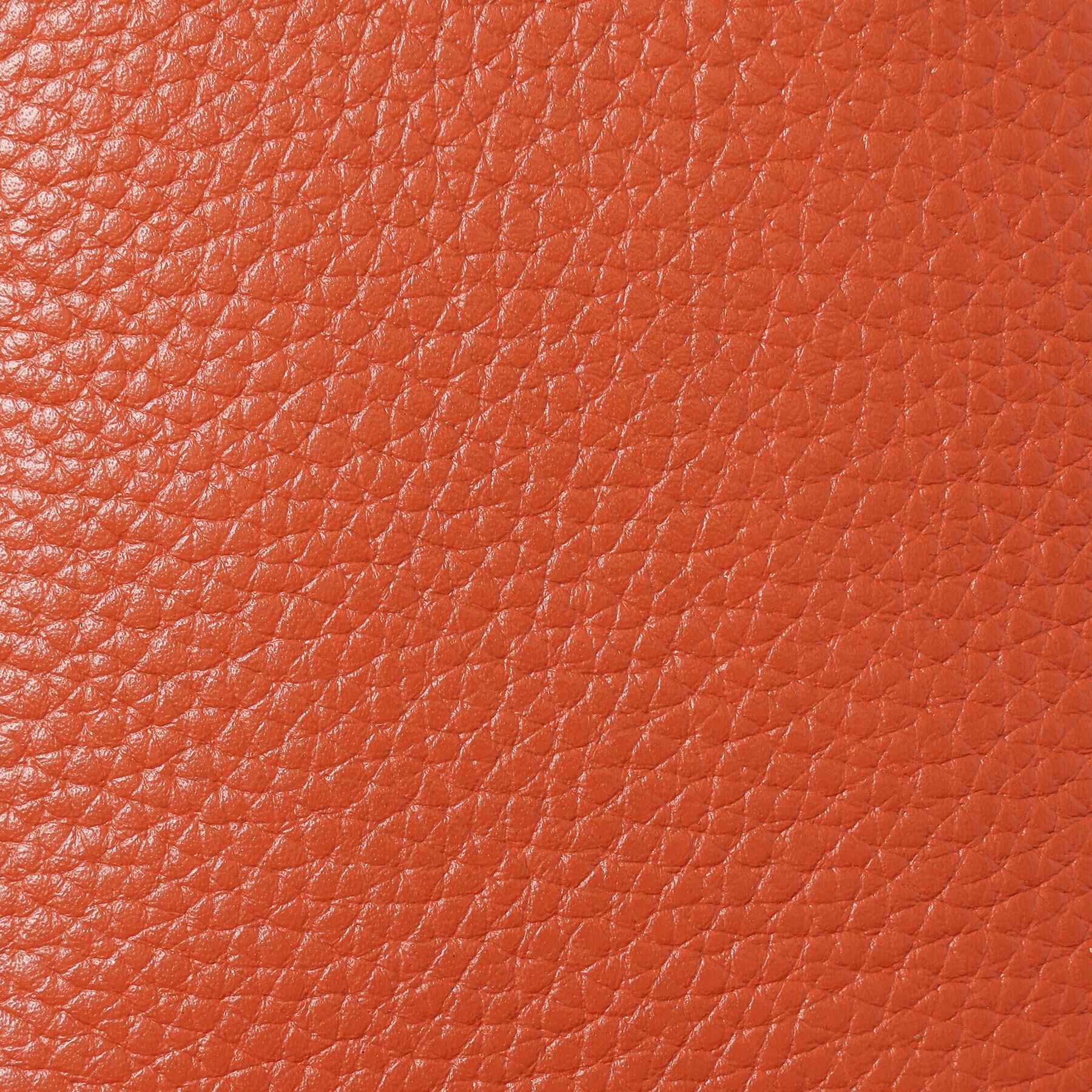TAKEO KIKUCHI「【驚くべき収納力】カラードコンパクト財布」|財布|