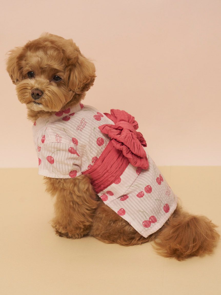  GELATO PIQUE CAT&DOG「【CAT&DOG】浴衣」|その他|