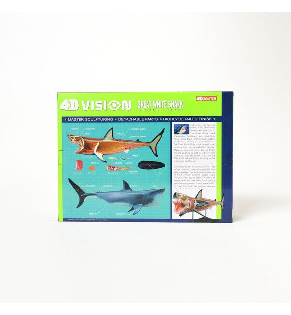 bPr BEAMS「4D MASTER / ANIMAL ANATOMY」|その他|