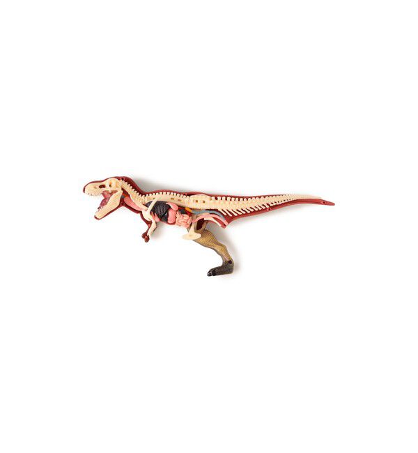 bPr BEAMS「4D MASTER / ANIMAL ANATOMY」|その他|