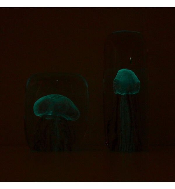 bPr BEAMS「DETAIL INC. / Jellyfish Twisted Leg "Tall"」|その他|