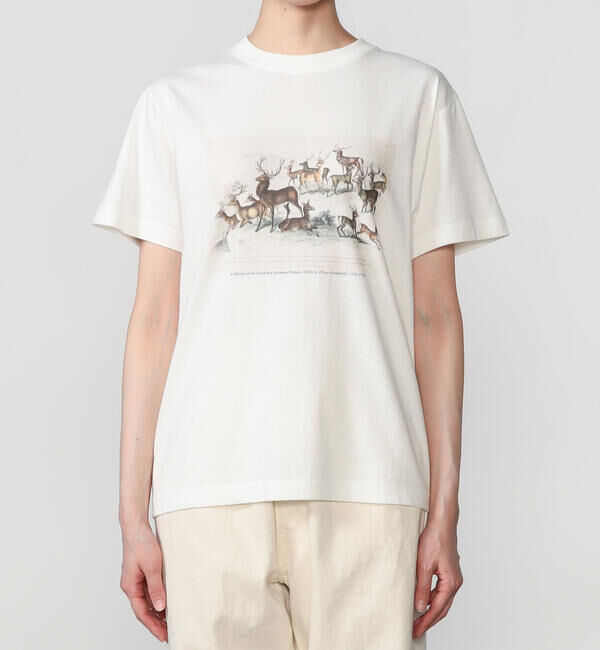  「History of Art | プリントTシャツ DEER WOMEN」|Tシャツ・カットソー|