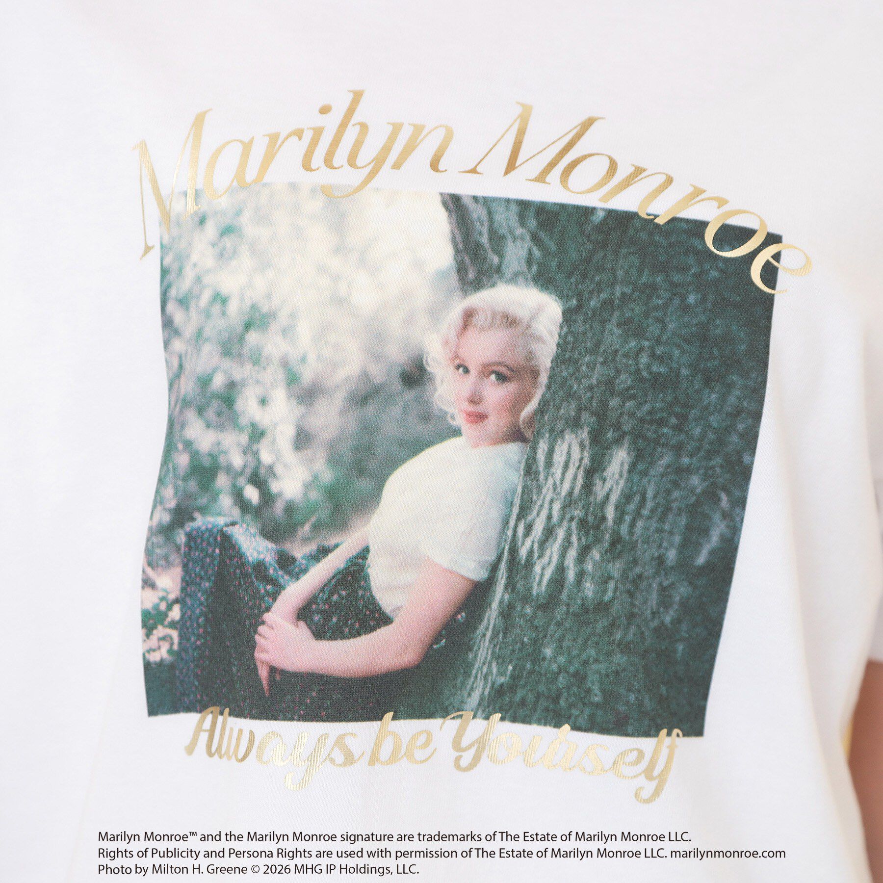 index「マリリン・モンロー/アソートＴシャツ【洗濯機ＯＫ】」|Tシャツ・カットソー|
