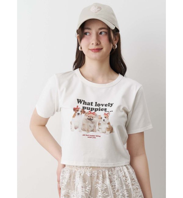 CALNAMUR「アソートプリントTシャツ」|Tシャツ・カットソー|