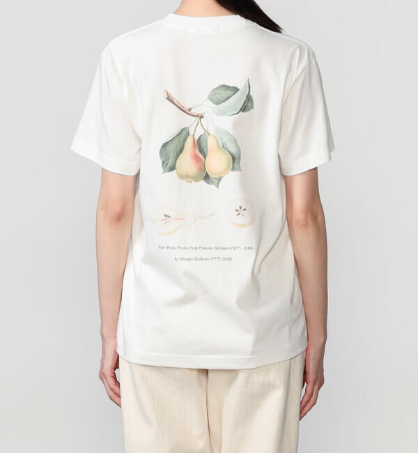  「History of Art | プリントTシャツ PEAR WOMEN」|Tシャツ・カットソー|WHITE系1