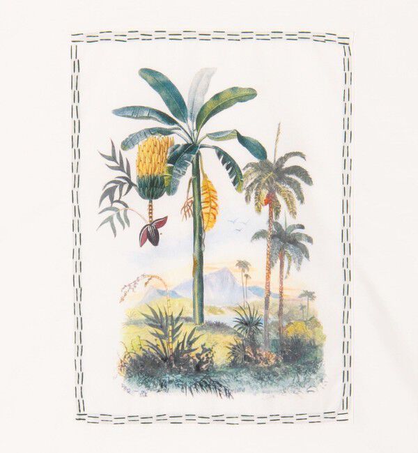 CABaN「スビンコットン TROPICAL HORIZON Tシャツ」|Tシャツ・カットソー|