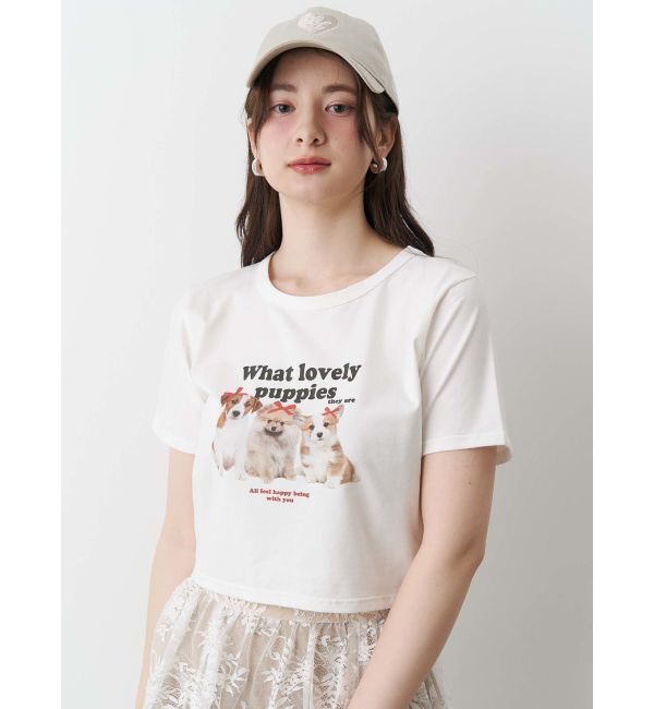 CALNAMUR「アソートプリントTシャツ」|Tシャツ・カットソー|