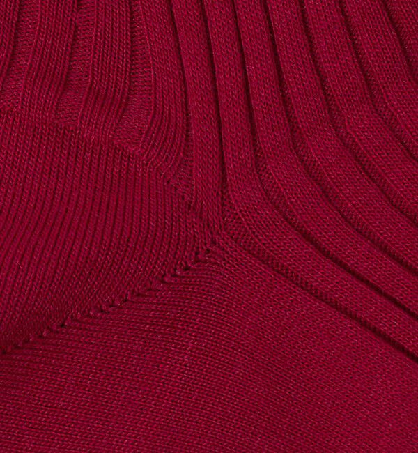UNITED ARROWS「＜Pantherella＞カラー リブソックス」|ソックス|