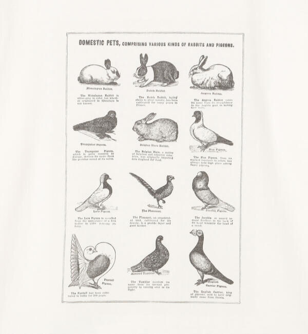  「History of Art | プリントTシャツ RABBITS & BIRDS WOMEN」|Tシャツ・カットソー|