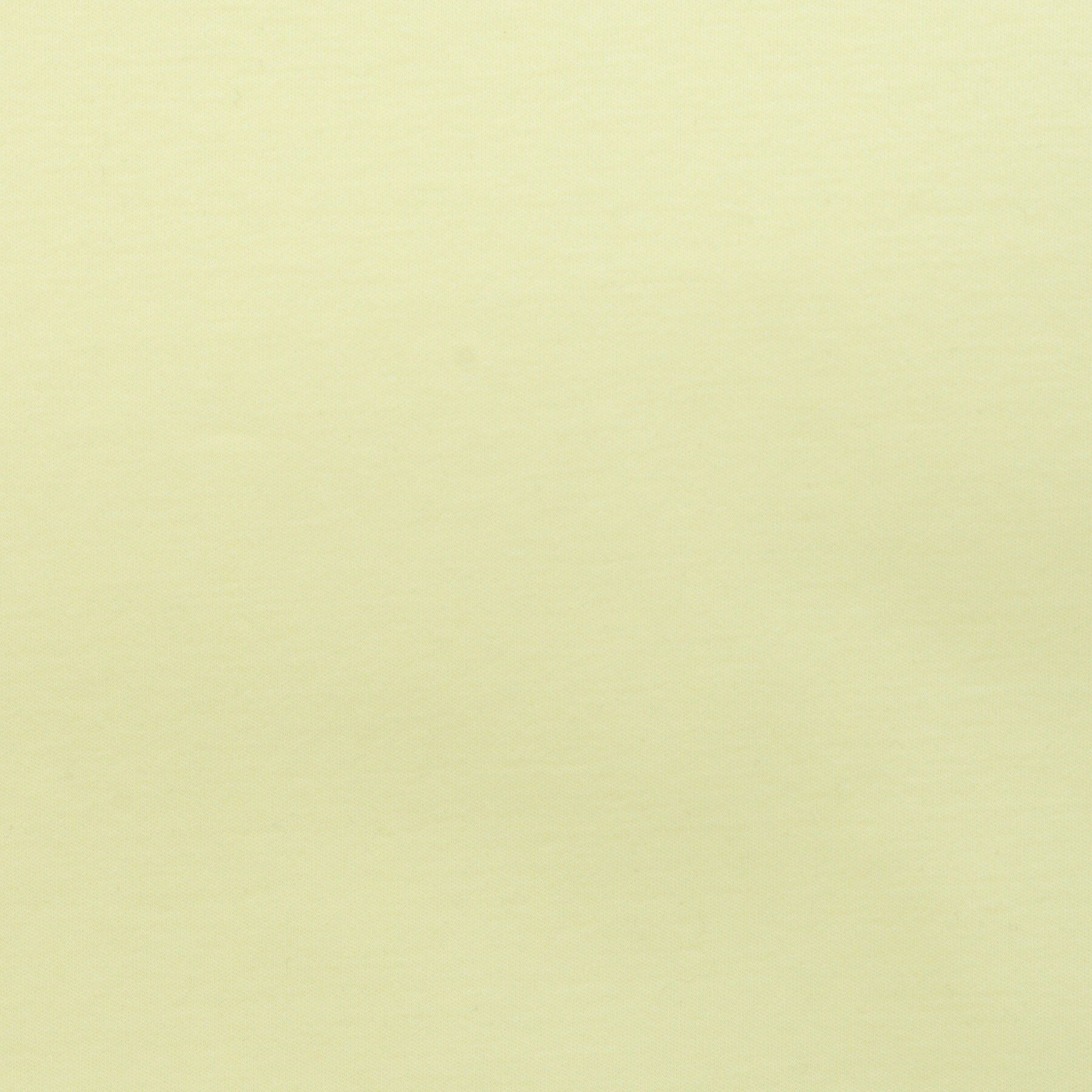 DRESSTERIOR「【接触冷感／抗菌防臭／消臭】ICE CLEAR COTTON フロッグオーバーフィットTシャツ」|Tシャツ・カットソー|