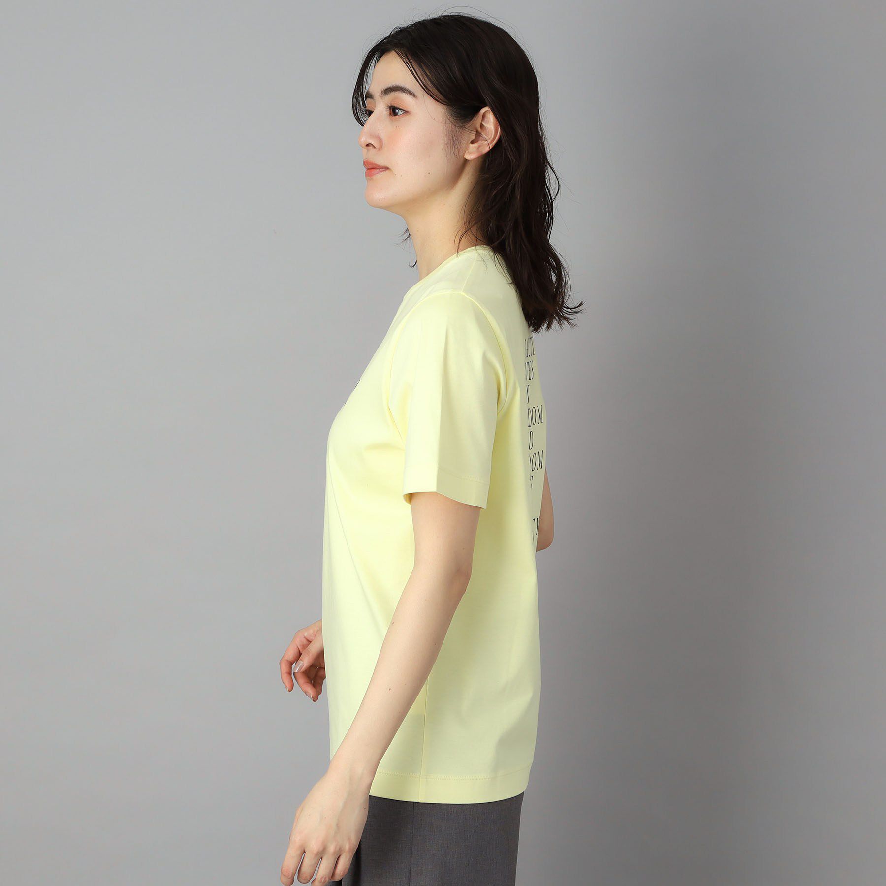 DRESSTERIOR「【接触冷感／抗菌防臭／消臭】アイスクリアコットン PARIS Tシャツ」|Tシャツ・カットソー|