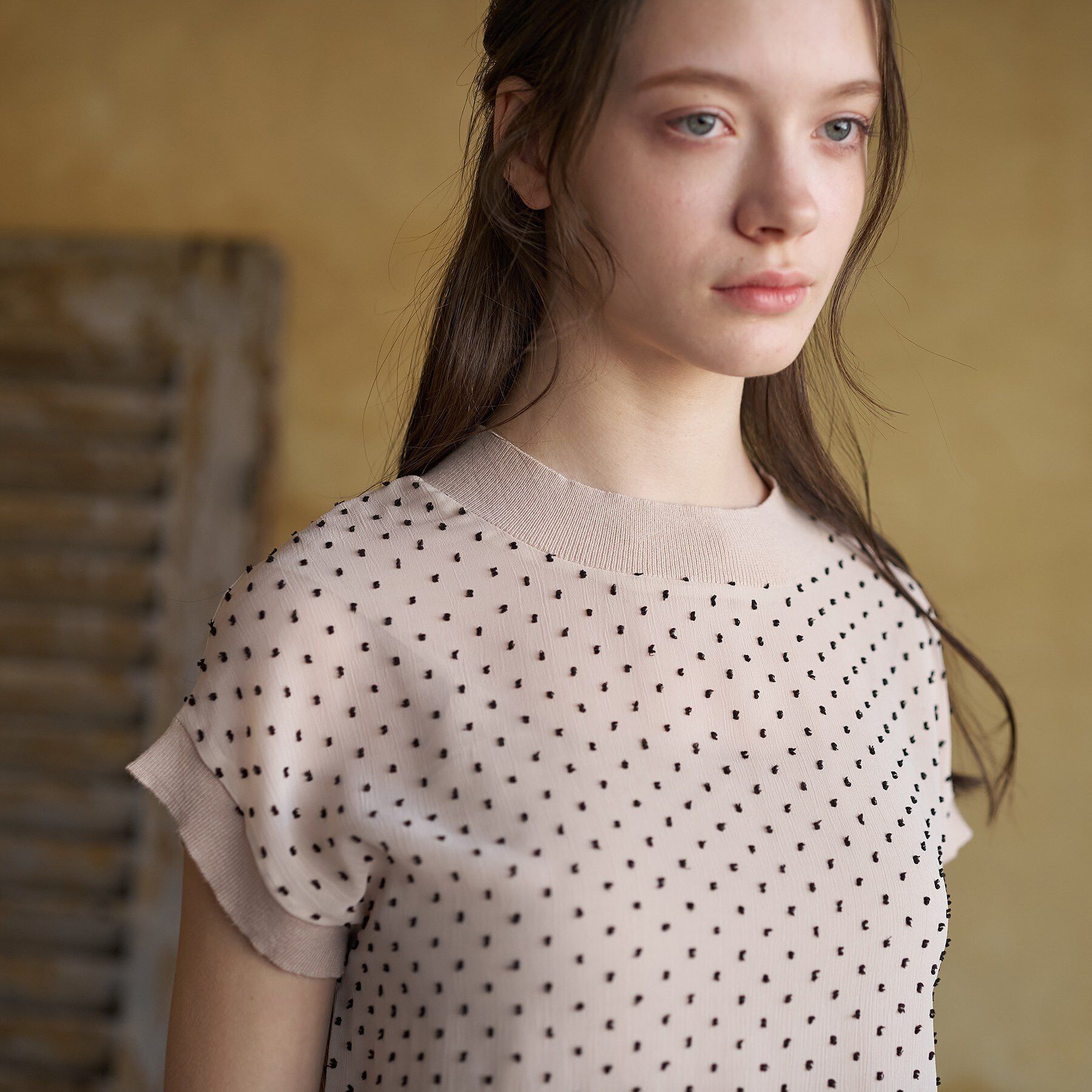 DRESSTERIOR「【再入荷/ウォッシャブル】ドットジャカード プルオーバー」|シャツ・ブラウス|