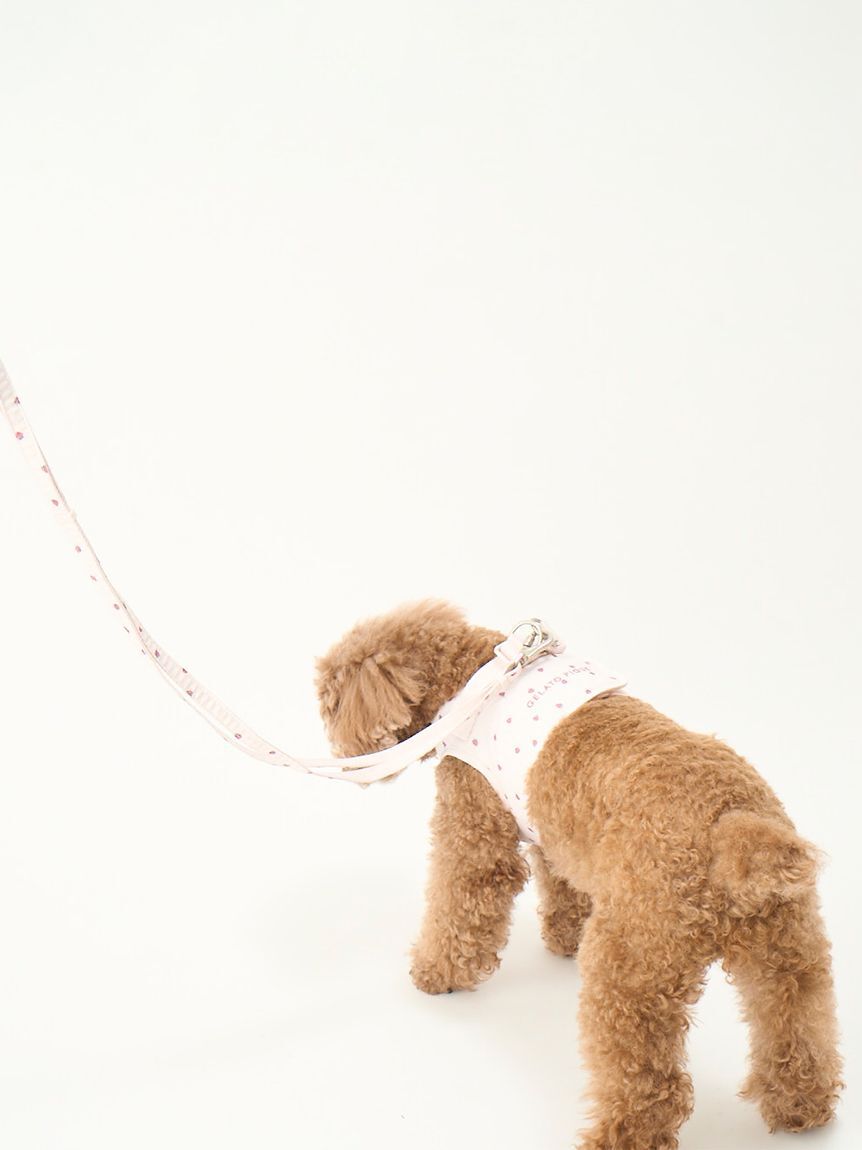 GELATO PIQUE CAT&DOG「【CAT&DOG】【販路限定商品】モチーフ柄リード」|その他|