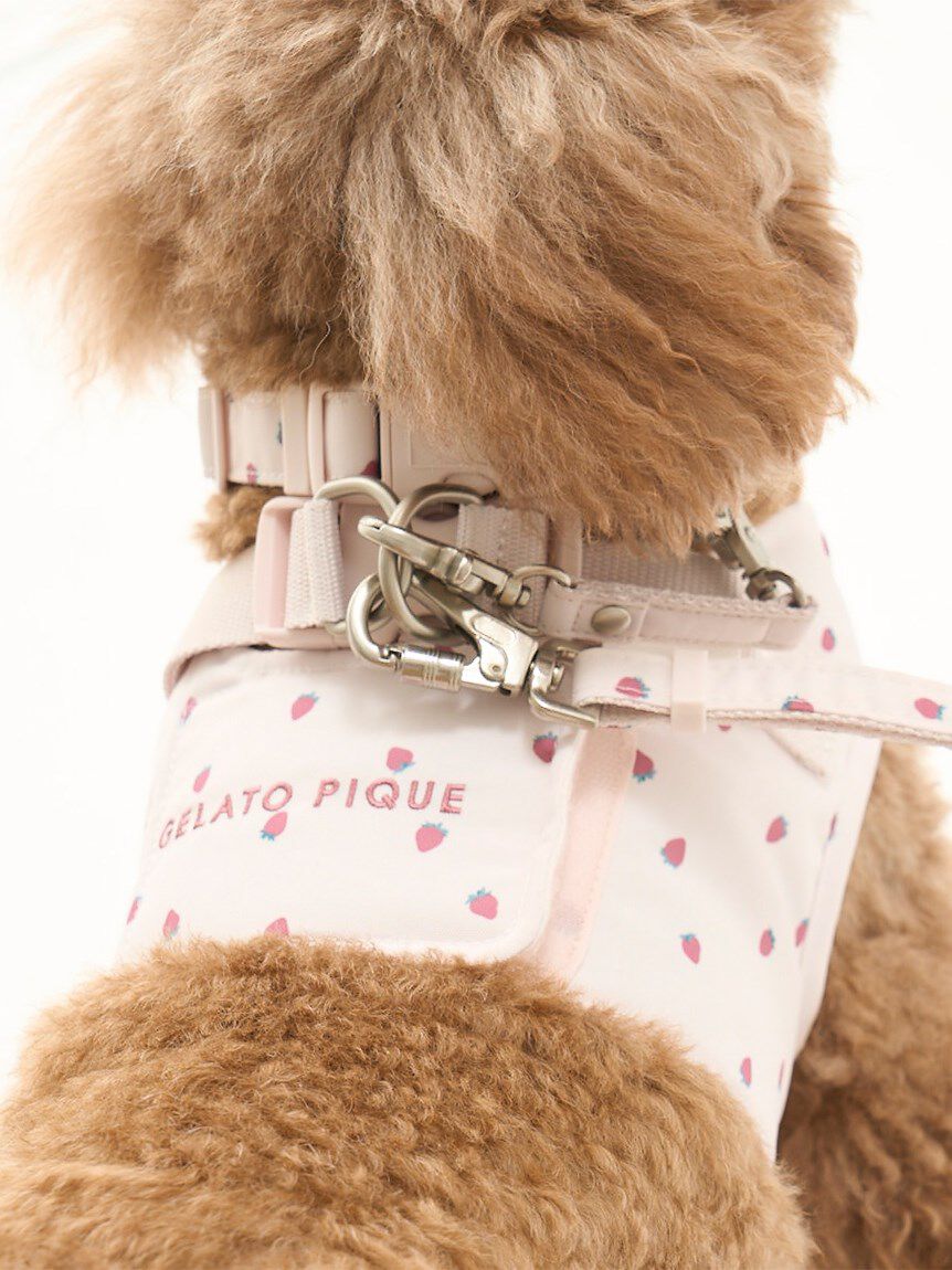 GELATO PIQUE CAT&DOG「【CAT&DOG】【販路限定商品】モチーフ柄ハーネス」|その他|
