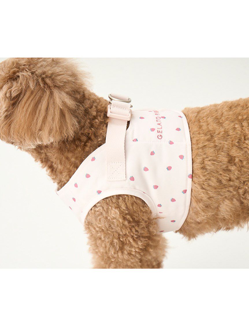 GELATO PIQUE CAT&DOG「【CAT&DOG】【販路限定商品】モチーフ柄ハーネス」|その他|