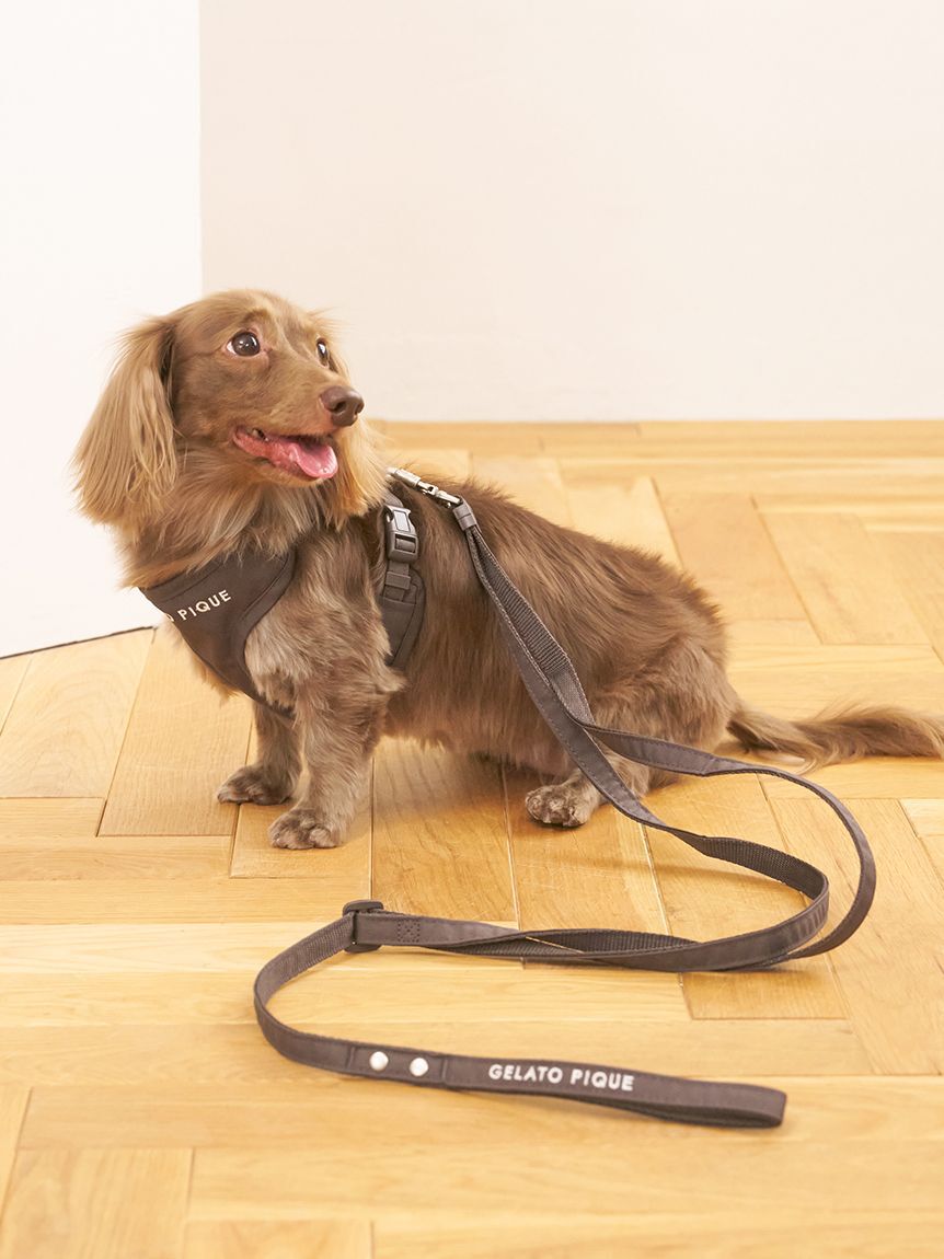  GELATO PIQUE CAT&DOG「【CAT&DOG】【販路限定商品】リード」|その他|CGRY