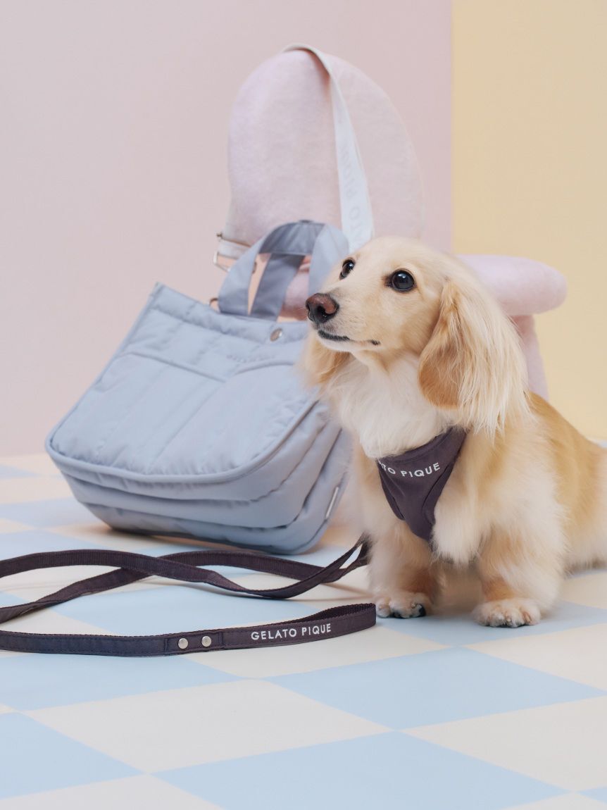  GELATO PIQUE CAT&DOG「【CAT&DOG】【販路限定商品】リード」|その他|