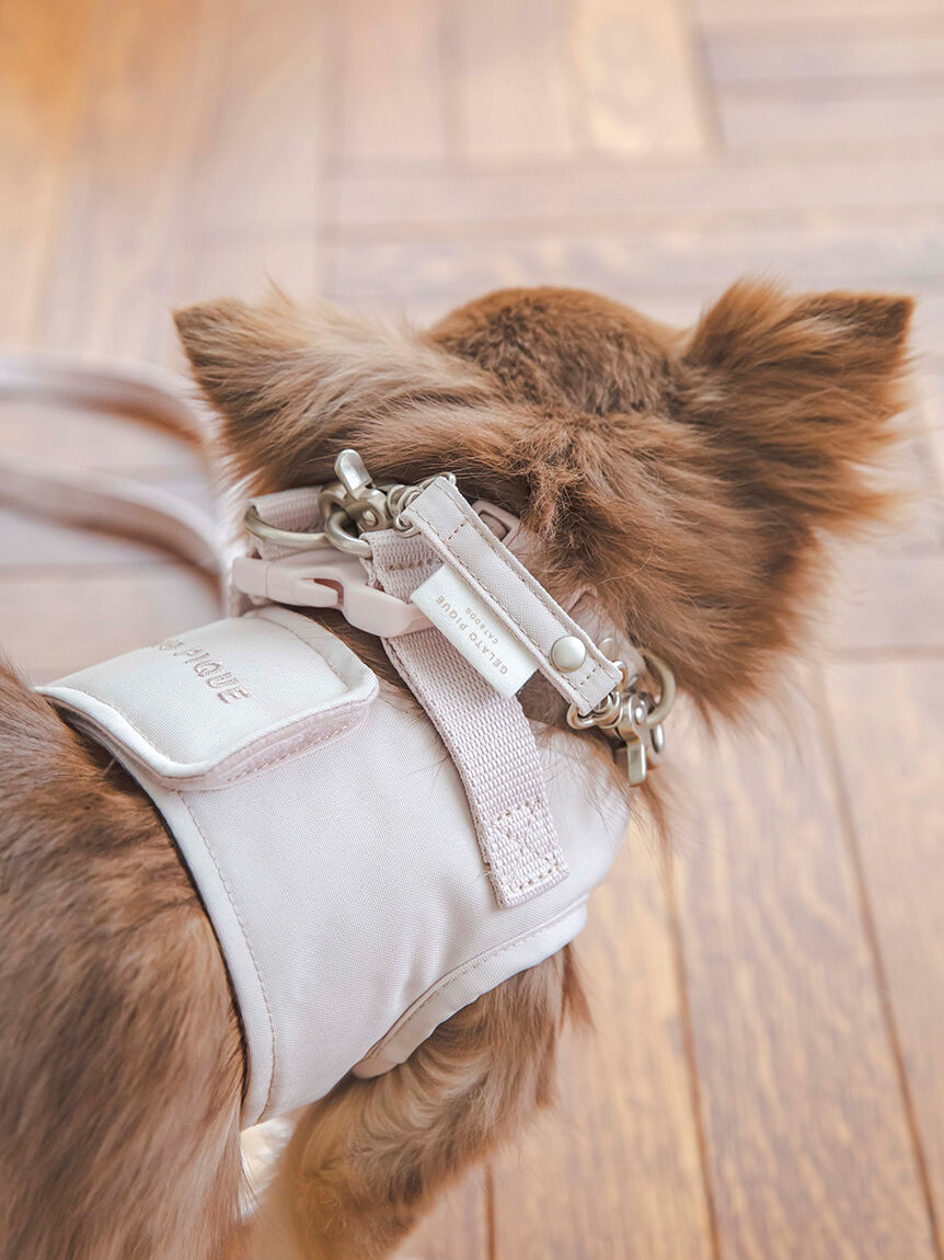  GELATO PIQUE CAT&DOG「【CAT&DOG】【販路限定商品】ハーネス」|その他|