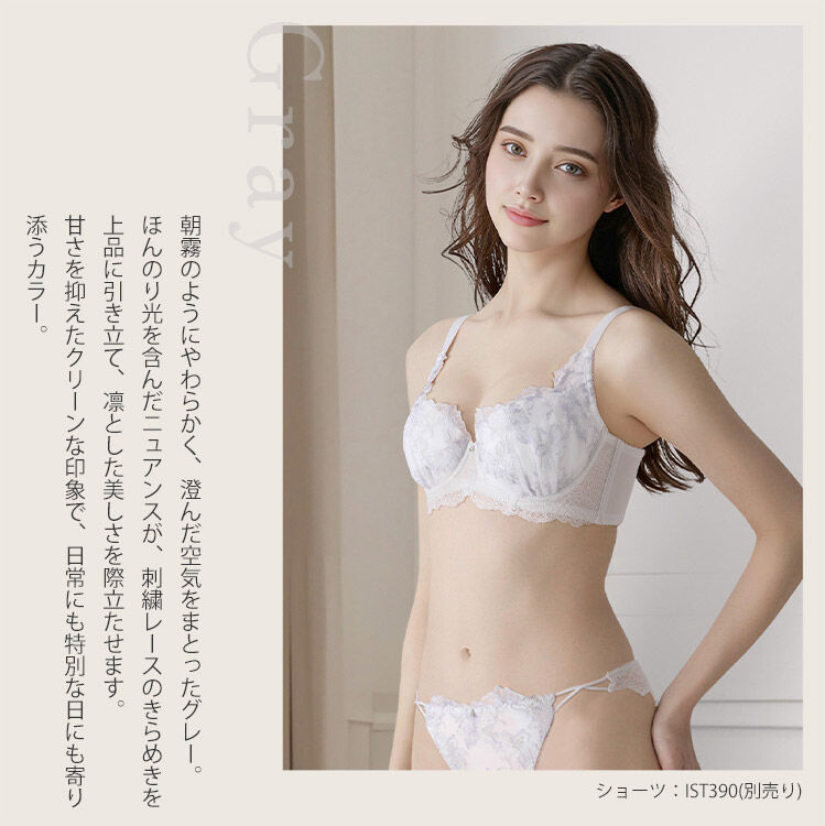 intesucre「アンテシュクレ 脇高ブラ Premium ブラジャー単品  F-G/60-80 IBT390」|インナー|GY