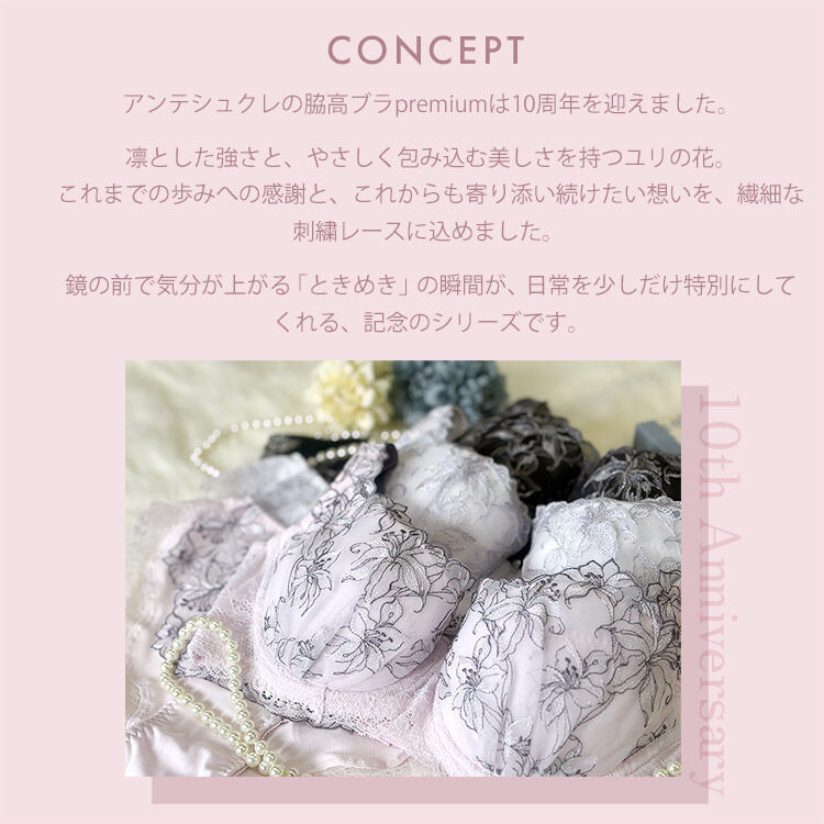 intesucre「アンテシュクレ 脇高ブラ Premium ブラジャー単品  F-G/60-80 IBT390」|インナー|
