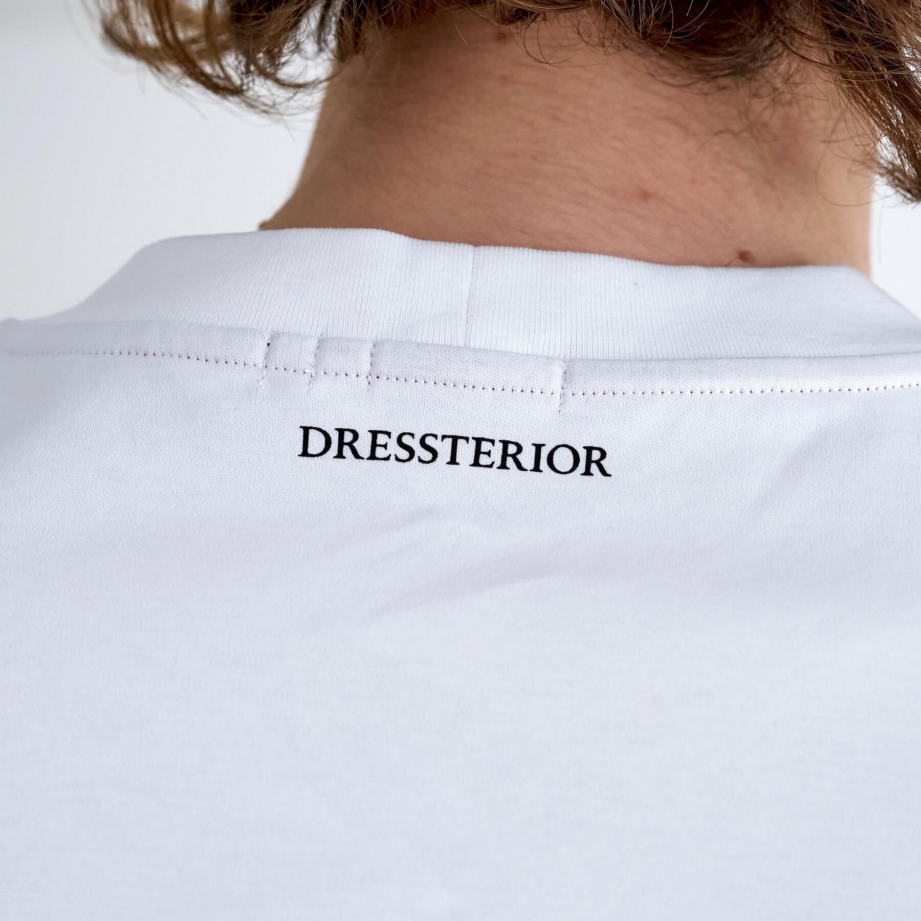 DRESSTERIOR「【接触冷感／抗菌防臭／消臭】ICE CLEAR COTTON フロッグオーバーフィットTシャツ」|Tシャツ・カットソー|