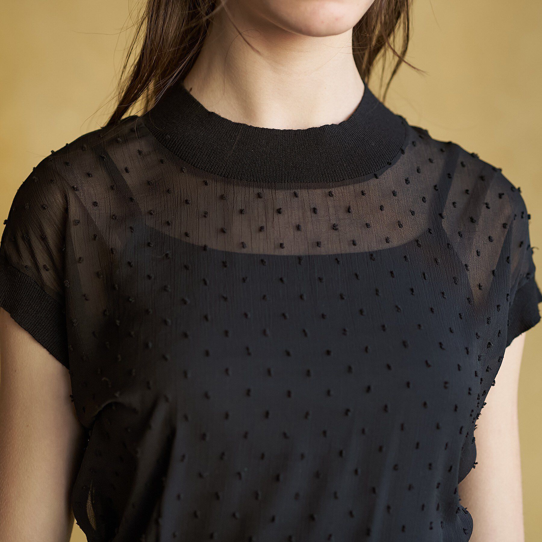 DRESSTERIOR「【再入荷/ウォッシャブル】ドットジャカード プルオーバー」|シャツ・ブラウス|