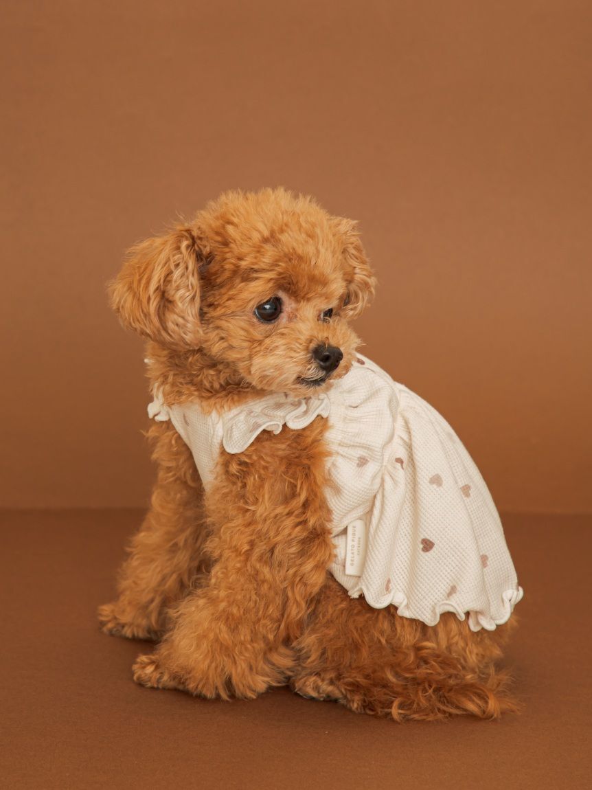  GELATO PIQUE CAT&DOG「【CAT&DOG】ハート柄フリルワンピース」|その他|