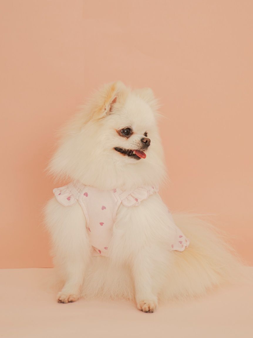  GELATO PIQUE CAT&DOG「【CAT&DOG】ハート柄フリルワンピース」|その他|
