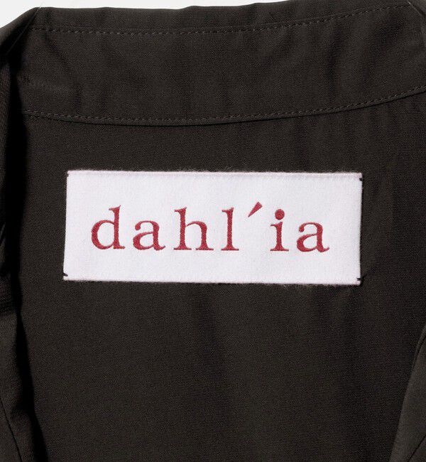 UNITED ARROWS「【別注】＜dahl&rsquo;ia＞レース シャツ」|シャツ・ブラウス|