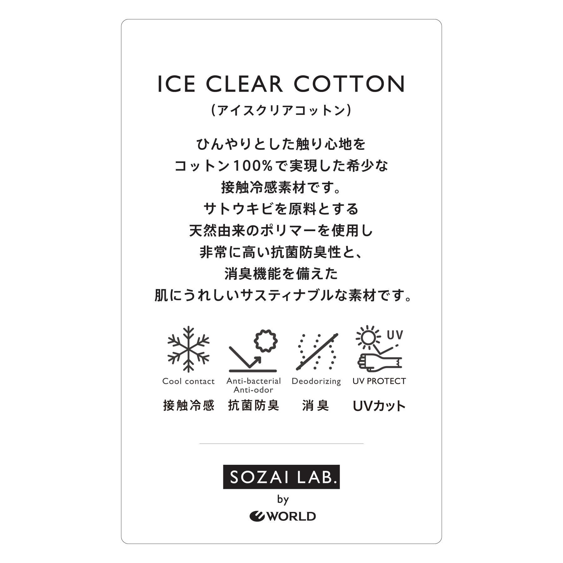 DRESSTERIOR「【接触冷感／抗菌防臭／消臭】ICE CLEAR COTTON NINEストリートTシャツ」|Tシャツ・カットソー|