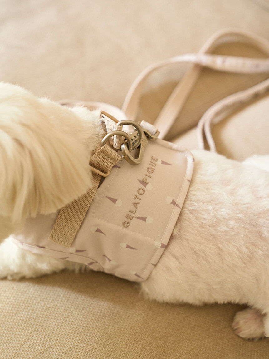  GELATO PIQUE CAT&DOG「【CAT&DOG】【販路限定商品】モチーフ柄ハーネス」|その他|