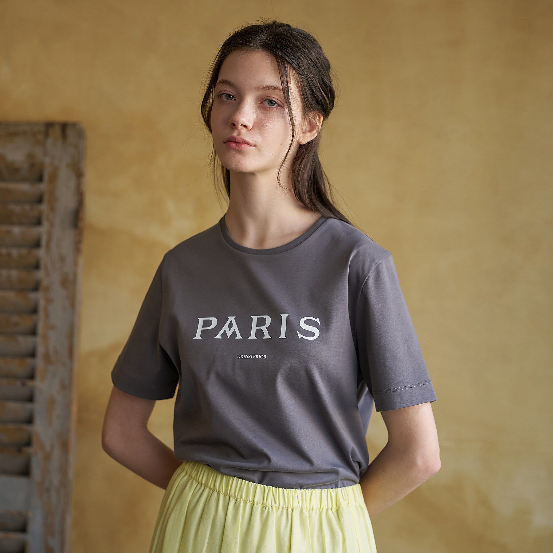 DRESSTERIOR「【接触冷感／抗菌防臭／消臭】アイスクリアコットン PARIS Tシャツ」|Tシャツ・カットソー|