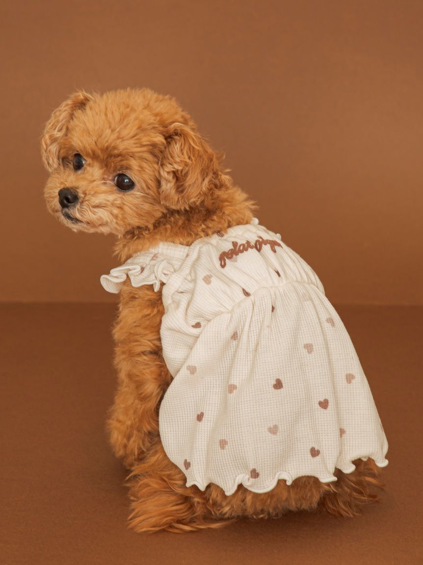  GELATO PIQUE CAT&DOG「【CAT&DOG】ハート柄フリルワンピース」|その他|IVR