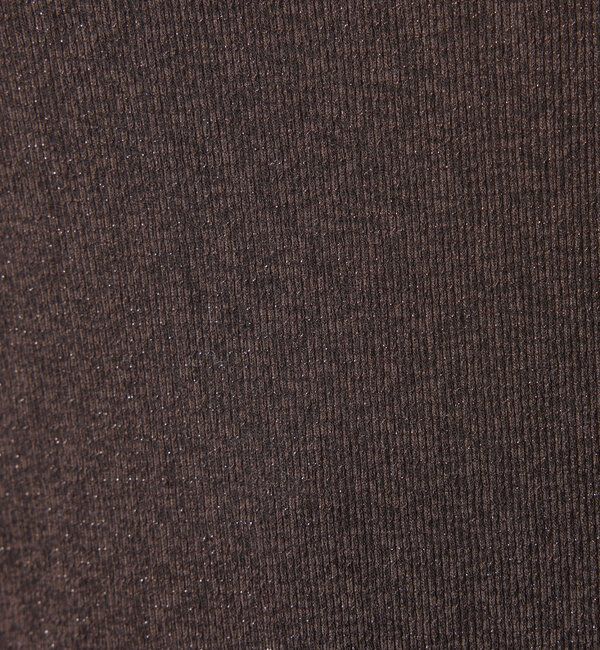  「【追加販売/1枚でもインナーでも着られる】シアーラメリブスクエアカットソー」|Tシャツ・カットソー|